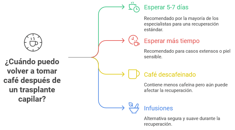Infografía que responde a la pregunta '¿Cuándo puedo volver a tomar café después de un trasplante capilar?'. Incluye cuatro opciones: esperar 5–7 días (recomendado por la mayoría de especialistas), esperar más tiempo (para casos extensos o piel sensible), café descafeinado (contiene menos cafeína pero aún puede afectar) e infusiones (alternativa segura y suave durante la recuperación).